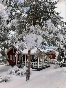 a snow covered tree in front of a house at Himalayan cabin Inkoo in Inkoo