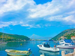 Príroda v okolí apartmánu
