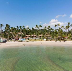 Blick auf einen Strand mit Palmen und das Meer in der Unterkunft Bangalo Premium Carneiros com Piscina Privativa, Secretária e Enxoval, ao lado Igrejinha in Tamandaré