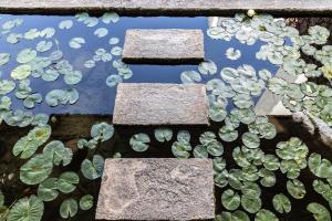 two stepping stones in a pond with plants at Amalia Hotel Delphi in Delfoi