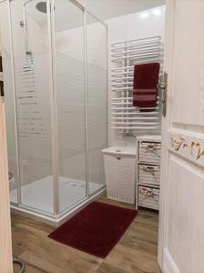 y baño con ducha y lavamanos. en Apartament w Zagrodzie, en Frydman