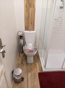 a small bathroom with a toilet and a shower at Apartament w Zagrodzie in Frydman +20 photos