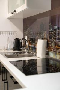 a kitchen counter with a stove and a paper towel at RentWill apartments Black&White in Chişinău