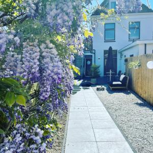 Casa TX21 في دن بورخ: حديقة بها زهور أرجوانية على جانب المنزل