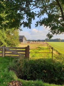 una cerca de madera frente a un campo con caballos a lo lejos en B&B de Berghoeve, en Ruinen