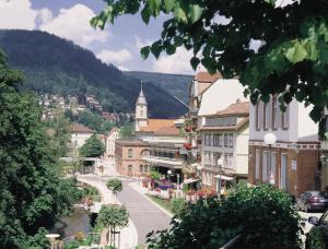 a view of a town with a river and buildings at Relax 2 in Bad Wildbad