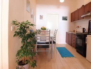 a kitchen with a table and chairs in a kitchen at Apartments Magda in Cavtat