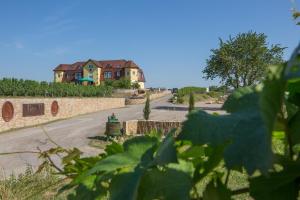 a house on a hill with a road in front at Privatweingut Schmidt in Heitersheim