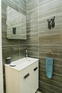 un bagno con un lavandino bianco e uno specchio di Seagrass - Ventnor a Ventnor