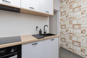 Kuchyňa alebo kuchynka v ubytovaní City Center Apartment Gdynia by Noclegi Renters + 12 fotografií