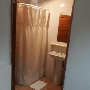 y baño con cortina de ducha y lavamanos. en Casa de la Flia. Sánchez en Humahuaca