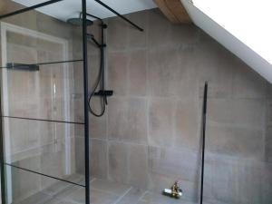 a shower with a glass door in a bathroom at Aekingahof in Appelscha