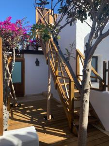 Fotografia z galérie ubytovania La Tunera Fuerteventura v destinácii Corralejo