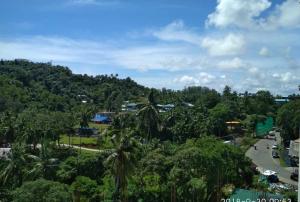 vistas a una selva con árboles y una carretera en The Tamarind Tree Hotel, en Port Blair