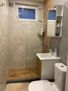 a bathroom with a toilet and a sink at Уютен апартамент на 3 мин. от главната и Капана +паркинг in Plovdiv