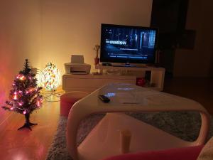 a living room with a christmas tree and a television at Lovely Modern Apartment - Lake Jarun in Zagreb +39 photos