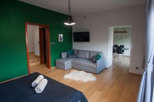 Televízia a/alebo spoločenská miestnosť v ubytovaní KANIA Apartamenty - Zakopane