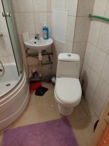 uma casa de banho com um WC branco e um lavatório. em 1 room aprtment 400 from sea em Liepāja