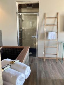 a bathroom with a glass shower and a ladder at Palm Beach in Ajaccio