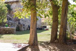 Amaya的住宿－Casa Rural El Hidalgo，一群树在院子里,有长凳