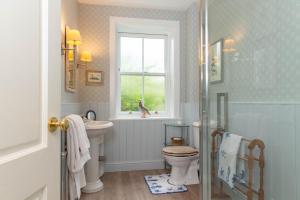 a bathroom with a toilet and a sink and a window at Ingram House Bed & Breakfast in Alnwick