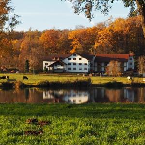 OrtenbergにあるLandgasthof Rotlipp Gästezimmerの湖前の白い大きな建物