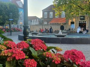 a fountain with red flowers and people sitting at tables at Pension Montmaertre in Zierikzee