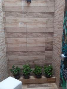 uma casa de banho com quatro vasos de plantas numa parede em Pousada Lótus em Chapada dos Guimarães