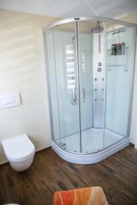 a bathroom with a shower and a toilet at Ferienwohnung Ogger in Bad Salzungen