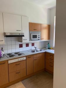 eine Küche mit einer Spüle und einer Mikrowelle in der Unterkunft Arbeiterwohnheim Workers Dormitory Graz in Graz
