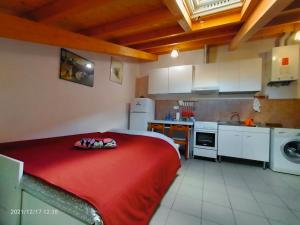 A kitchen or kitchenette at A un Passo dai Sassi