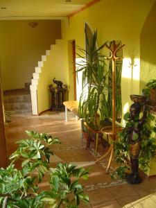a room filled with lots of potted plants at Villa Ametyst in Štúrovo