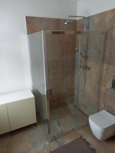 a bathroom with a shower and a toilet at Vila Kollár Apartmán 15 in Dolný Smokovec