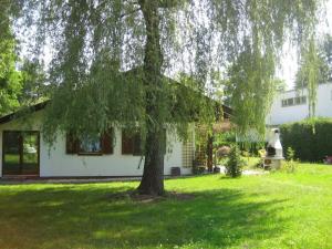 una casa blanca con un árbol en el patio en Casa Rosa, en Krumpendorf am Wörthersee