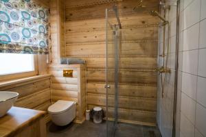 a bathroom with a toilet and a glass shower at Świerkowe Chatki w Koniakowie in Koniaków