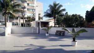 un patio con 2 palmeras y un banco en Studio novo - Vai te surpreender, en Praia Grande