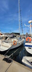 a group of boats are docked in a marina at Velero en Port Forum sail boat in Barcelona