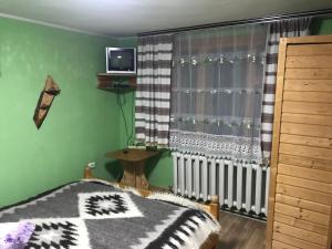 TV a/nebo společenská místnost v ubytování Na gorbochku u Natali