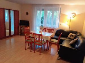 Televízia a/alebo spoločenská miestnosť v ubytovaní HAUS FERENCZ Bötös Villa + 32 fotografií