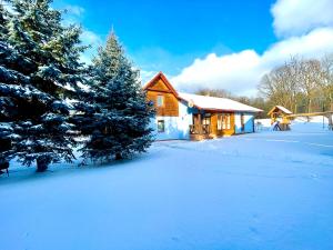 a house in the snow with a christmas tree at KAPINA sk - Holiday Homes in Žiar