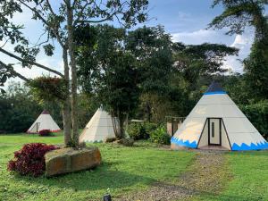 a group of three tents in a field at Refugio Del Bosque Glamping in La Mesa