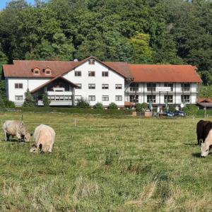 Byggnaden som hotellet ligger i