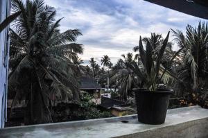 Taman di luar Gem Light Guest House