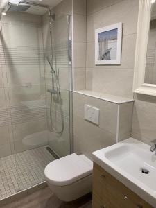 een badkamer met een douche, een toilet en een wastafel bij Le Touquet - Superbe appartement 3 chambres - Proche mer & centre - Wifi in Le Touquet-Paris-Plage