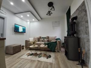 a living room with a couch and a fireplace at Cozy Home Kolasin in Kolašin