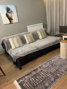 普羅夫迪夫的住宿－LIDO de Plovdiv Apartments，客厅内的沙发,带地毯