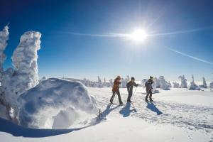 een groep mensen op ski's in de sneeuw bij Apartmán TYRŠOVKA in Svoboda nad Úpou