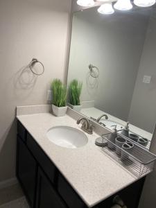 Cozy 1BR Near Med Center NRG Free Wi-Fi