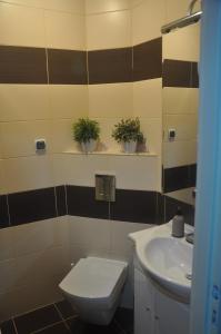 łazienka z toaletą i umywalką w obiekcie Apartament przy Parku Czartoryskich w mieście Puławy
