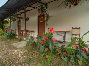 Aed väljaspool majutusasutust San Juan de los Guayabos